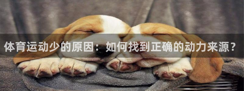 米兰体育网站