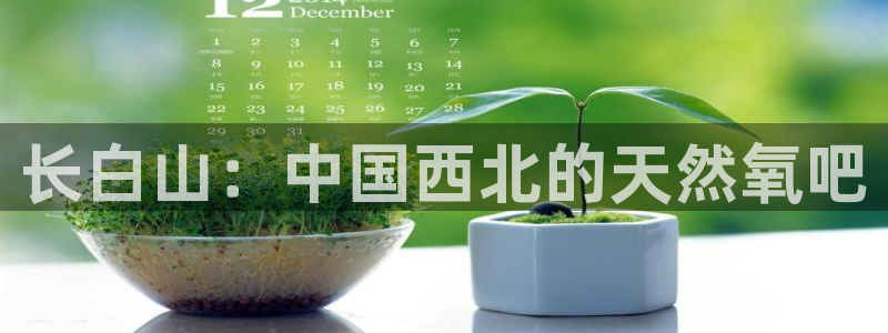 米兰体育报官网：长白山：中国西北的天然氧吧