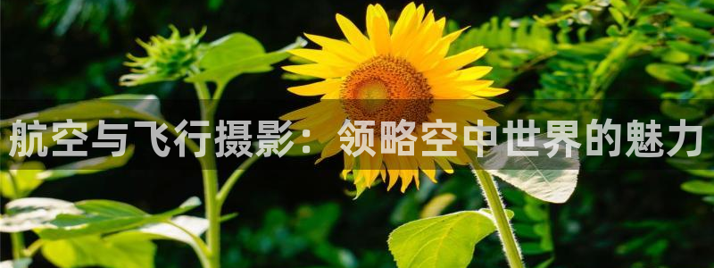 米兰体育最新版下载：航空与飞行摄影：领略空中世界的魅力