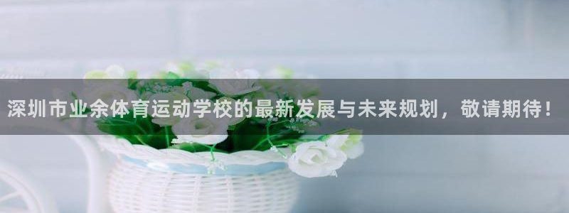 米兰体育：深圳市业余体育运动学校的最新发展与未来规划，敬请期待！