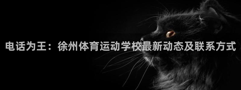 米兰体育网页版：电话为王：徐州体育运动学校最新动态及联系方式