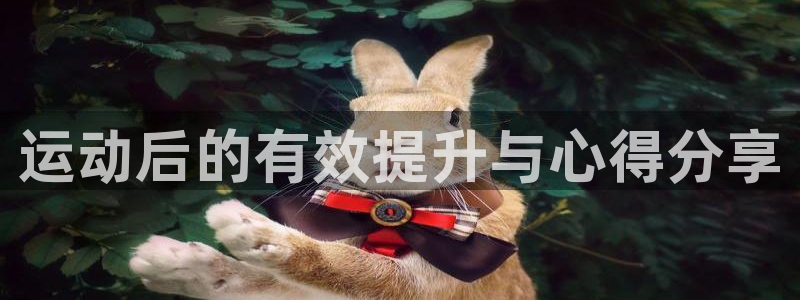 米兰体育官方下载入口：运动后的有效提升与心得分享
